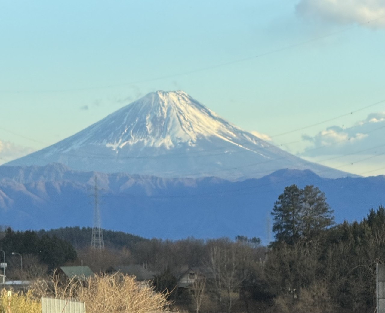 Le mont Fuji, la neige au sommet, au-dessus des contreforts et des arbres d'hiver