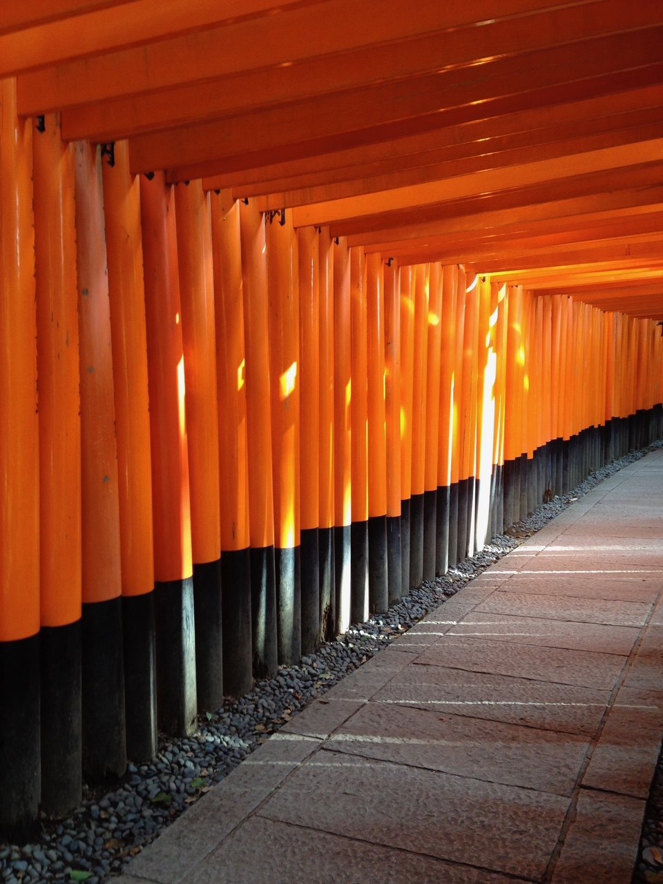 La lumière du soleil traverse les torii vermillon du sanctuaire Fushimi Inari à Kyoto
