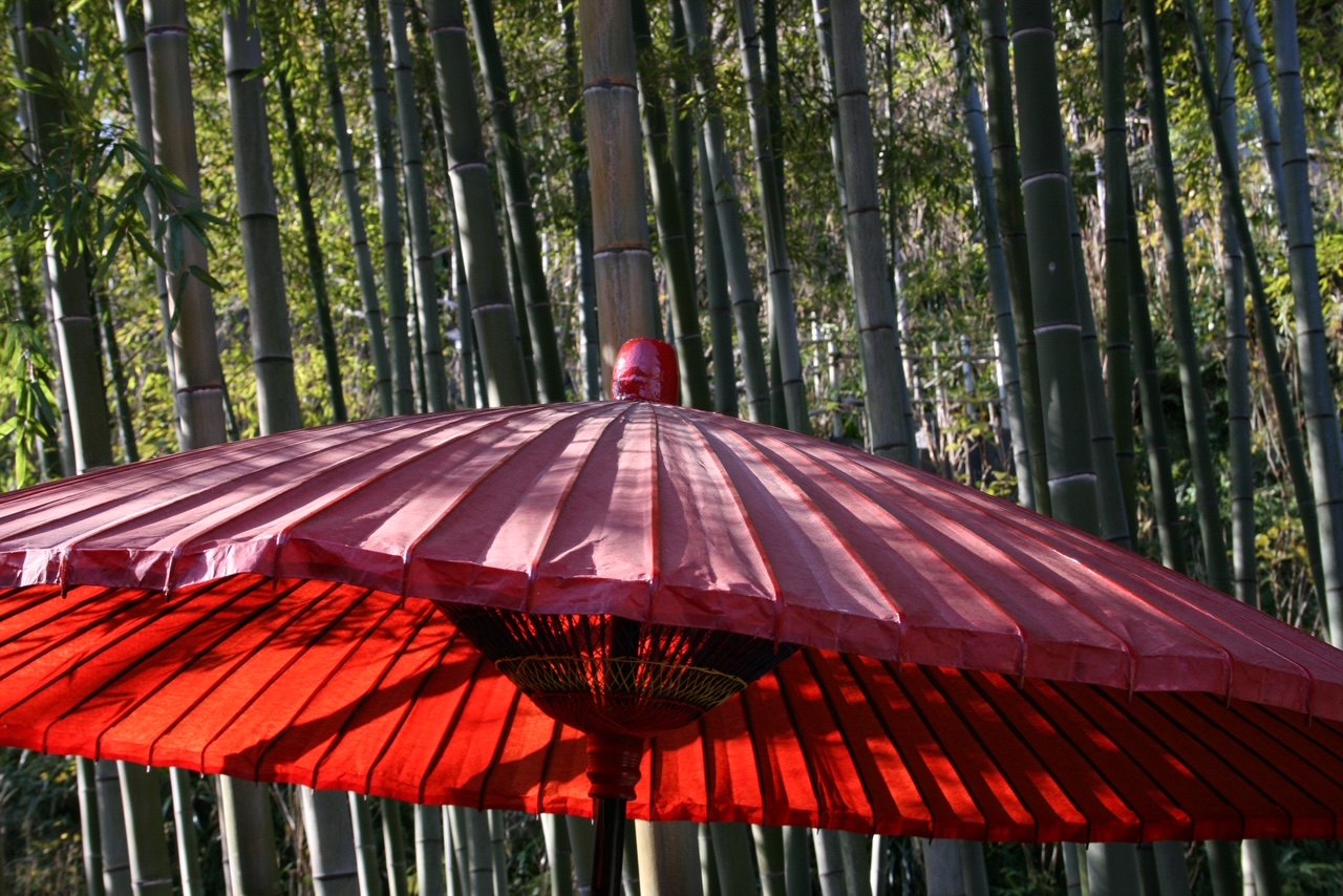 Parapluie japonais rouge devant une bambouseraie