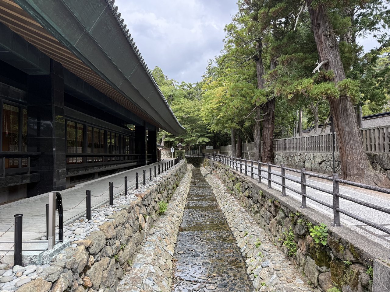 Un ruisseau longeant un bâtiment de sanctuaire sous de grands cèdres à Izumo, Shimane